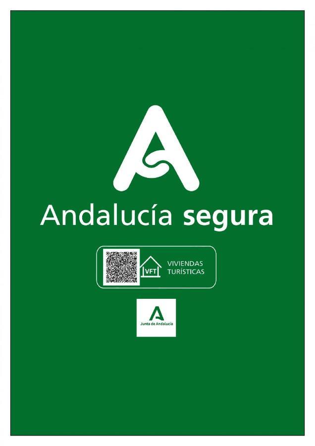 Atico La Joyita Free Parking By Cadiz4Rentals Zewnętrze zdjęcie
